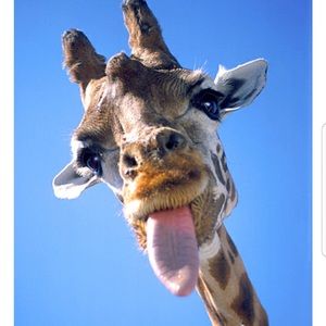 Meet your Posher, Serrena